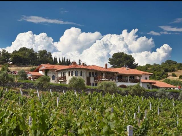 Vinifera Vineyards Hotel