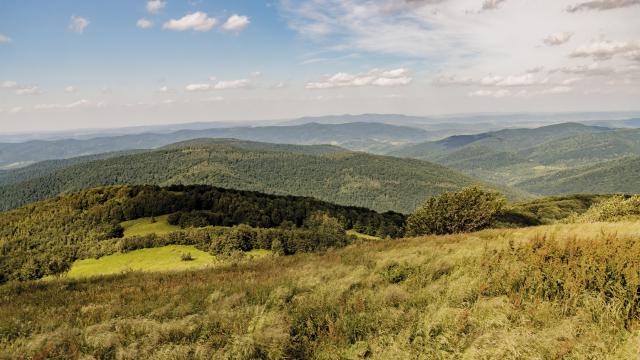 Bieszczady Mountains