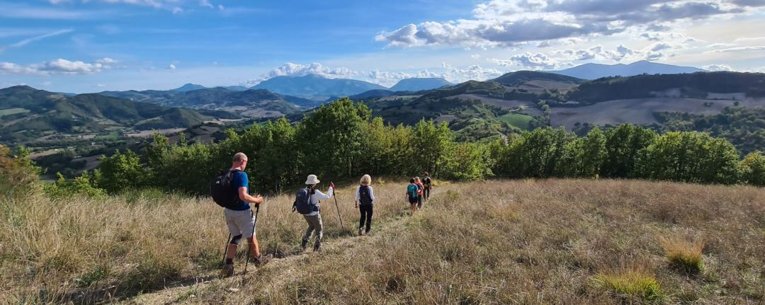 Italy Hiking Tour, Wine in the Apennines