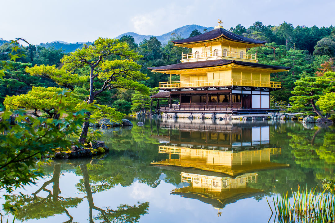 Japan Tours and Holidays | Wild Frontiers