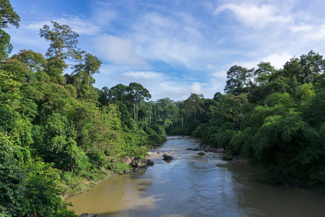 Borneo Tours | Classic Borneo | Wild Frontiers