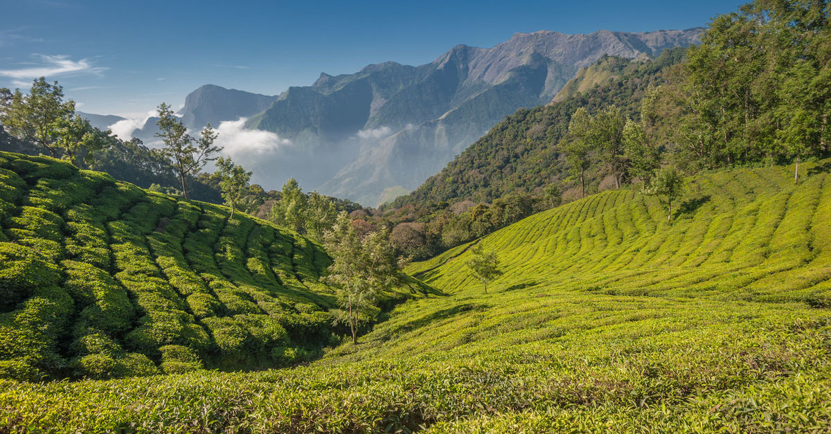 Trip to India | Inside Kerala and Karnataka | Wild Frontiers