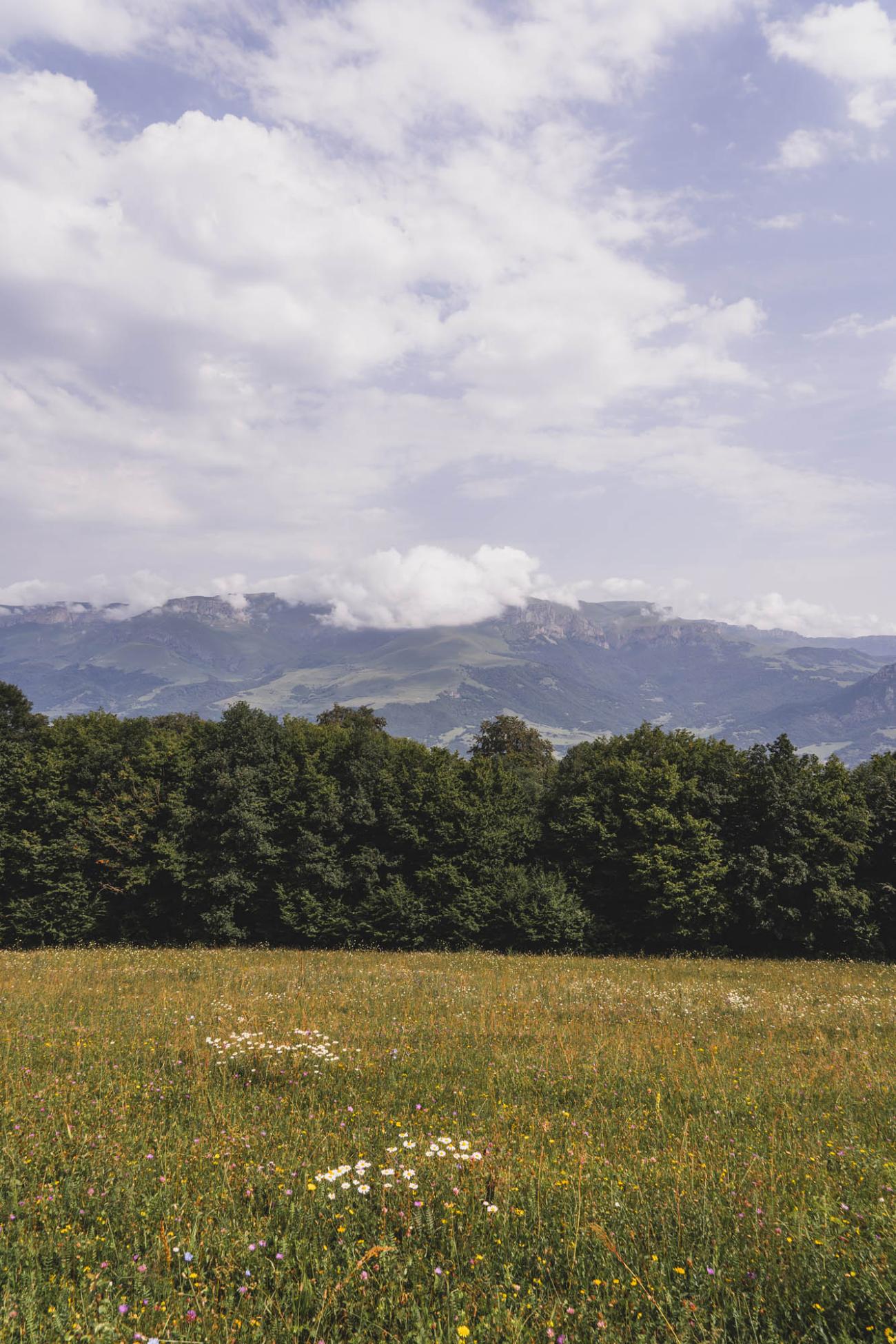 Dilijan