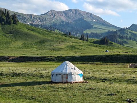 Kazakhstan and Kyrgyzstan: wild and wonderful!