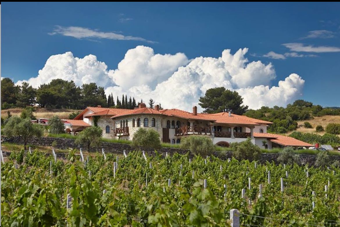 Vinifera Vineyards Hotel